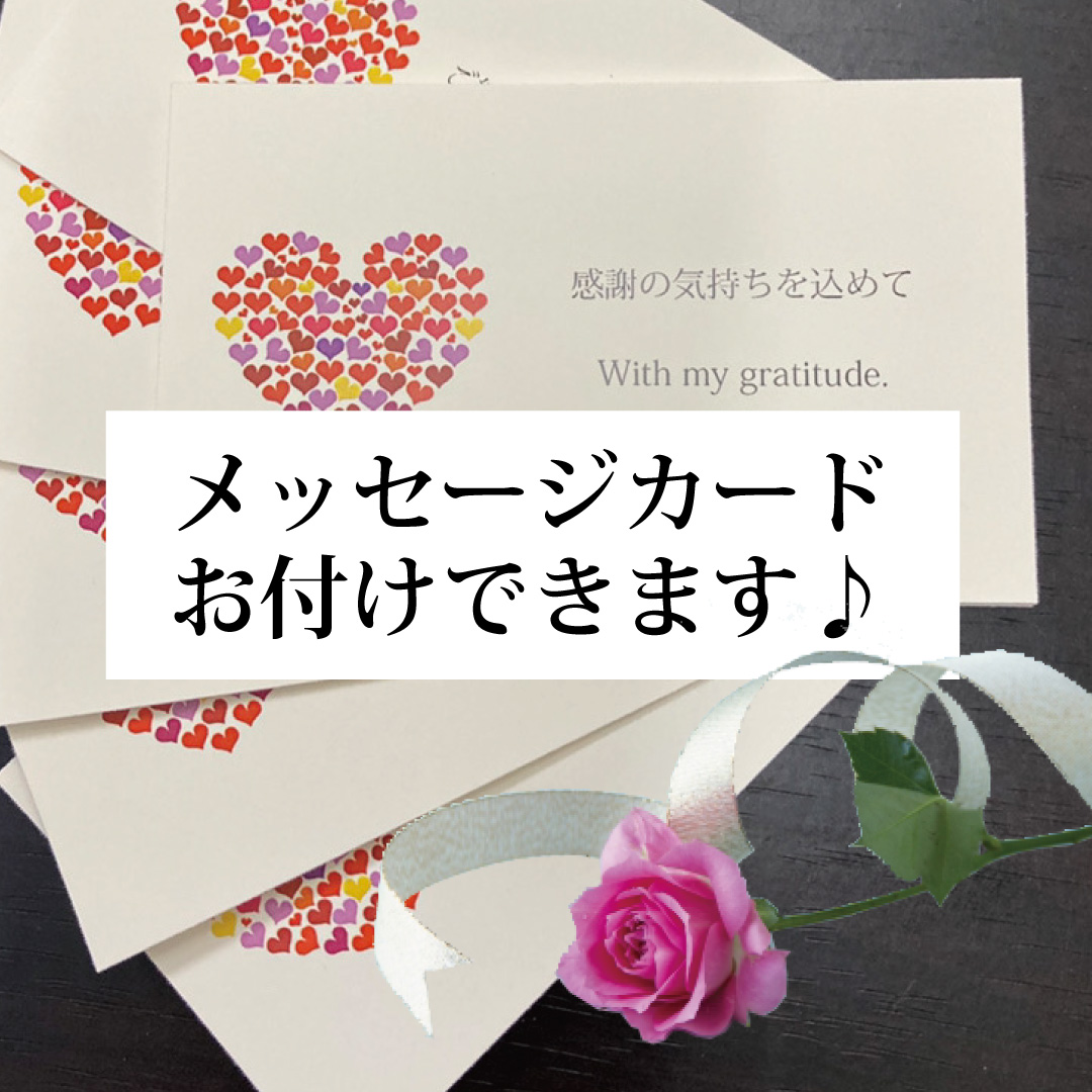 【～2/5バレンタイン特別割引5％OFF】ハートステーキ 3・4・5枚